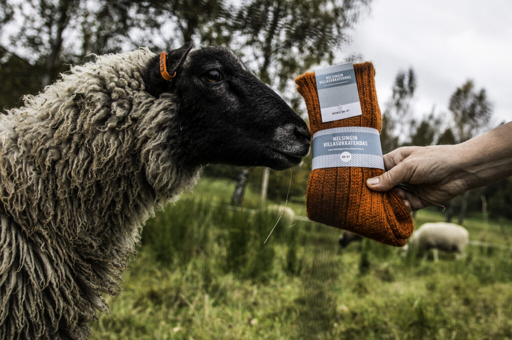 Sheep helsinki woollen sock factory wool socks on the right